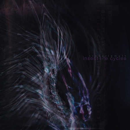 Troxellemott - Insect Life Cycles